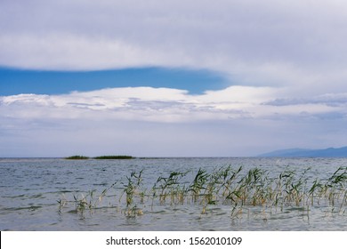 Aydarkul Lake In The Kyzyl Kum Desert,beautiful Lakeview, Uzbekistan 