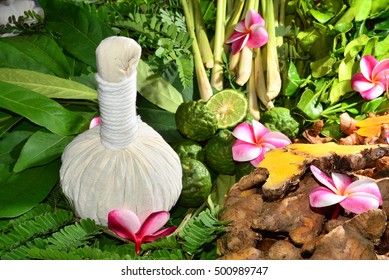 Ayurveda Herbs