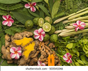 Ayurveda Herbs