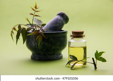 Ayurvedic Anti Bacterial Herbs Neem / Lilac (Azadirachta Indica) With Oil In Bottle With Mortar, Isolated Over Plain Background, Selective Focus