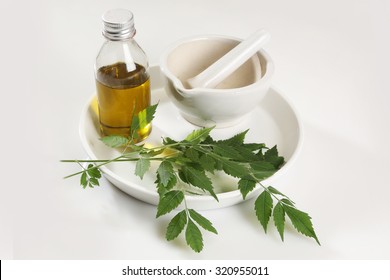 Ayurvedic Herbs Neem With Oil