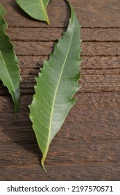 Azadirachta Indica, Commonly Known As Neem, Neem Leaf Or Mimba.
Natural Medicine Used In Skin Care, Beauty Products, Cream And Organic Pesticide.