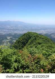 Azalea  Forest On Arayama Akagi Gunma Japan