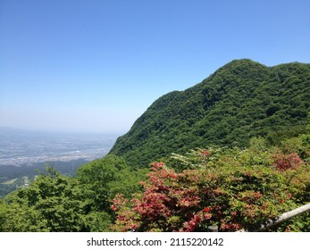 Azalea  Forest On Arayama Akagi Gunma Japan