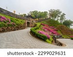 Azaleas and spring scenery at Gongju Gongsanseong Fortress, Gongju City, Chungcheongnam-do, Korea.
