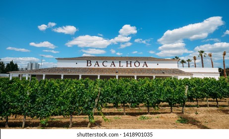 Azeitao, Lisbon, Portugal - June 7, 2019: Bacalhoa Vineyard At Azeitao In The Setubal Region, Portugal Famous For Its Moscatel Wine