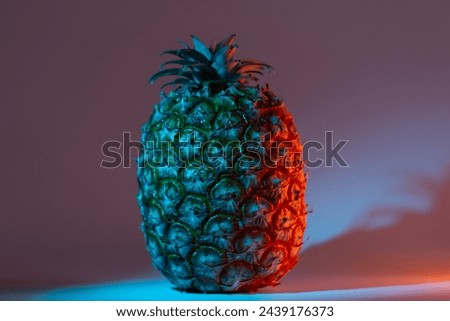 Azorean Pineapple in neon light on dark background. Close-up. Pineapple (Ananas) fruit from Azores