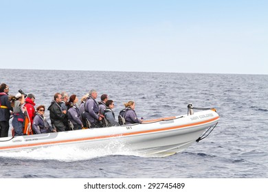  AZORES ISLANDS PORTUGAL-JUNE 12: Ride with Inflatable Boat after Whale Watching in the Atlantic Ocean on June 12, 2015 in Sao Miguel Azores.