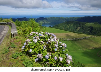 Azores, natural landscapes, forest and sea