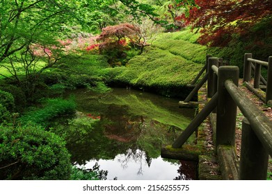 Azumino City, Nagano Prefecture,  Japan. May 15, 2022: Azaleas, wisteria, etc. in the Azalea Park of Manganji Temple.