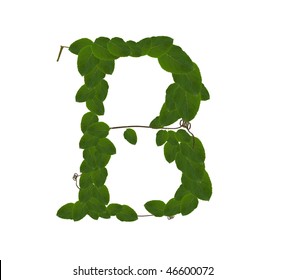 B Vine Alphabet Stock Photo 46600072 | Shutterstock