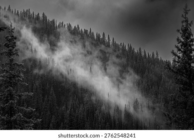 B and W of a small cloud moving up the side a mountain covered in pine trees under heavy with coming rain dark clouds over head in Jasper NP. 