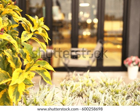 Similar – Image, Stock Photo Planting on the terrace