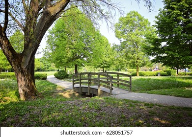 Baautiful Landscape Of Park