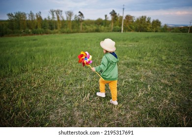 Babay Girl With Pinwheel At Meadow.