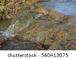 Babbling Brook