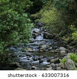 Babbling Brook