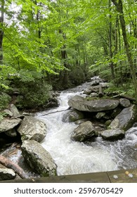 Babbling brook in the Smokey’s 
