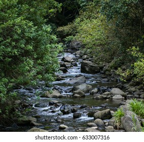 Babbling Brook