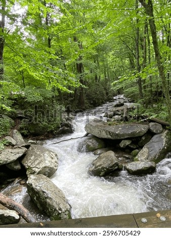 Babbling brook in the Smokey’s 