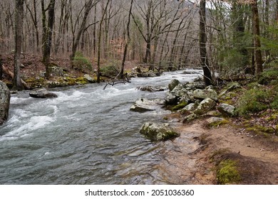 Babbling brook in the Georgia Mountains  - Shutterstock ID 2051036360