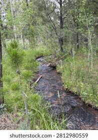 Babbling Brook in the Mountains