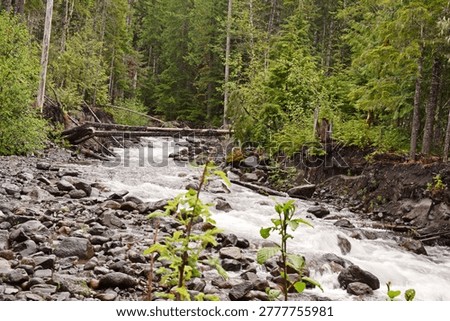 Babbling brook over rocks in the forest 