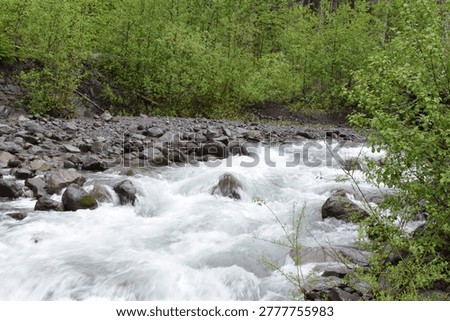 Babbling brook over rocks in the forest 