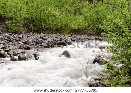 Babbling brook over rocks in the forest 