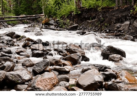 Babbling brook over rocks in the forest 