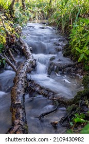 Babbling Brook Running Through Woodland