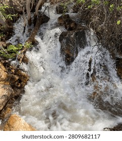 A babbling cascade of water.
