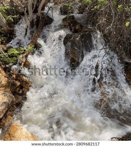 A babbling cascade of water.