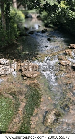 A babbling stream with greenery