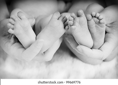 Babies Feet