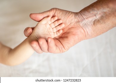 baby arm and hand of an old woman. Beautiful conceptual image of population population.