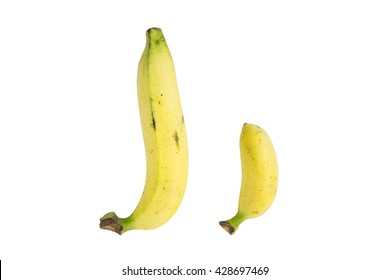 Baby Banana Compare Size With Banana Isolate On White Asian Vs European Size Penis Concept