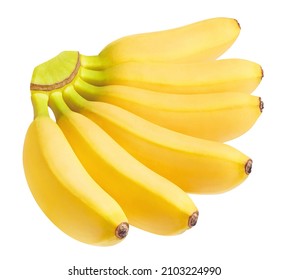 Baby bananas, isolated on white background