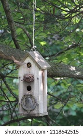 Baby Bird Opens Mouth For Feeding