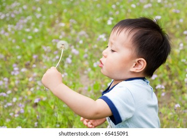 Baby Blowing A Dandelion