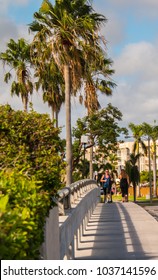 Baby Boomer Woman Power Walking For Exercise Wearing Gym Clothes On A Sidewalk With Palm Trees In Background 