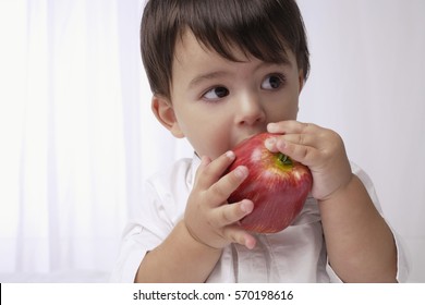 Baby Boy Eating Apple