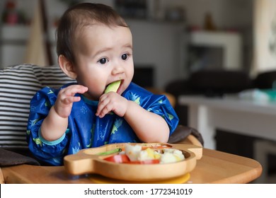 Baby Boy Eating Finger Food And Mix Vegetable Plate.Baby Led Weaning (BLW) Self Feeding.mixed Race Asian-German Infant Biting Avocado On High Chair At Home. Cute Little Child With Solid Nutrition.