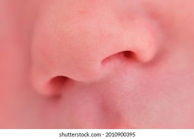 Baby Boy Nose Close Up, Newborn Child Face Macro