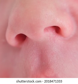 Baby Boy Nose Close Up, Face Newborn Infant Macro