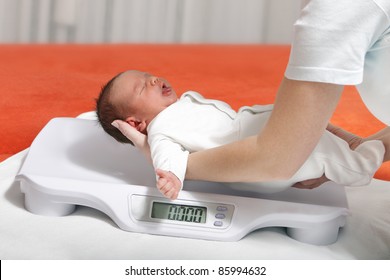 Baby Boy On Weight Scale