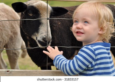 Baby Boy At Petting Zoo