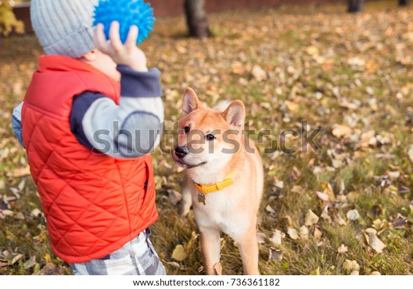 Baby Boy Playing His Red Dog Stock Photo Edit Now 736361182