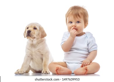 Baby Boy With Puppy, Isolated On White