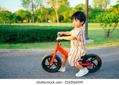 Baby Boy Riding Balance Bike Park Stock Photo 2143566599 | Shutterstock